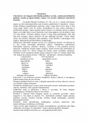 www.speros.lt